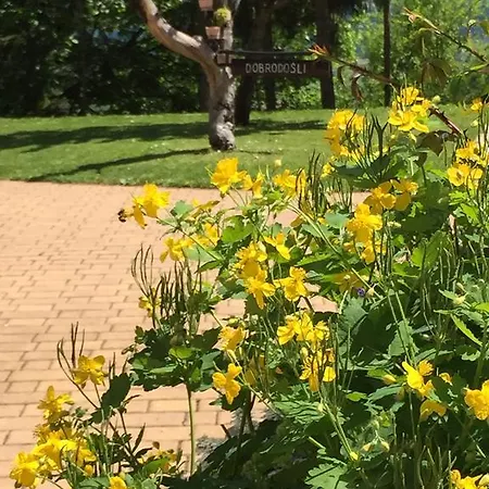 Herbalija Herbalija - Sorrounded By Nature