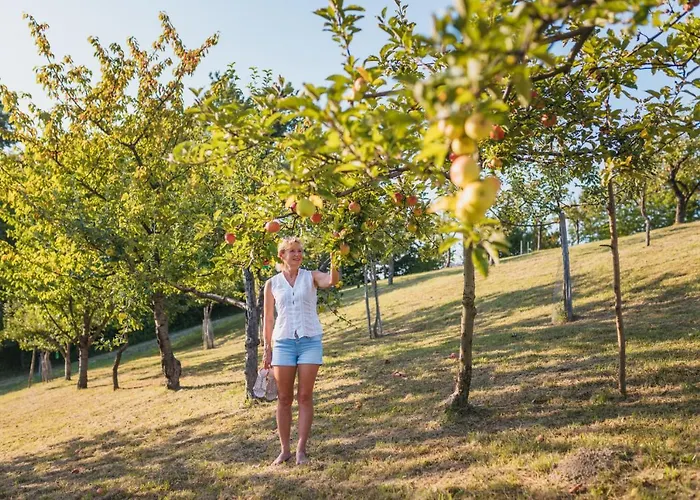 Herbalija Herbalija - Sorrounded By Nature