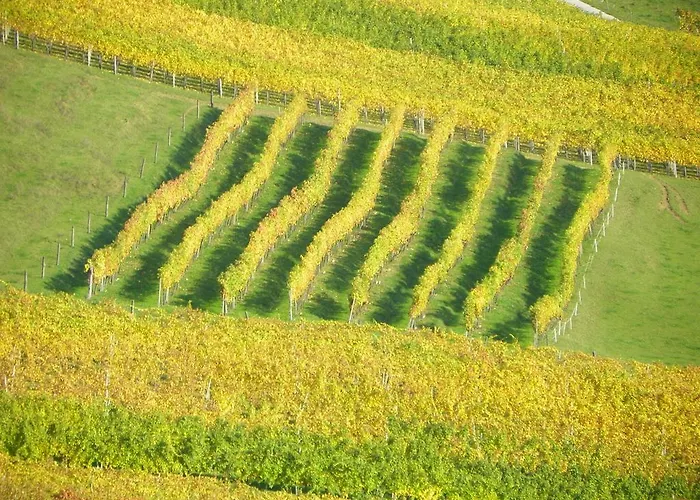 Herbalija Herbalija - Sorrounded By Nature Podčetrtek